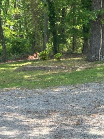 Serene Retreat! 420 Friendly In Designated Area, 3 Minutes To Downtown Richmond Esterno foto